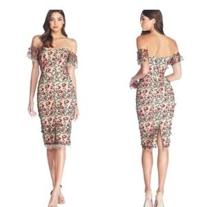 Dress the Population NWT Rare Rogue Cherry Dress Size L